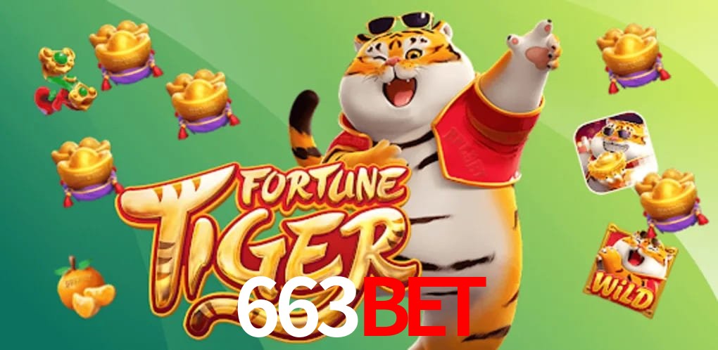 Experiência VIP 663bet