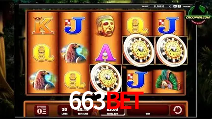 Descubra o Mundo do Cassino Online com 663bet